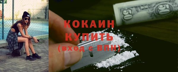 прущие грибы Козельск