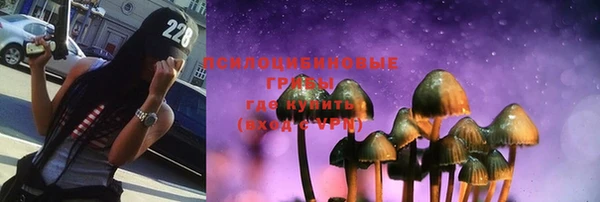 прущие грибы Козельск