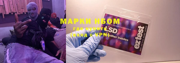 прущие грибы Козельск