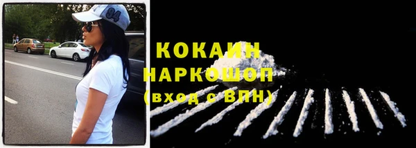 прущие грибы Козельск