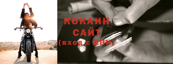 прущие грибы Козельск