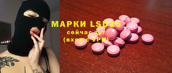 крисы Коряжма