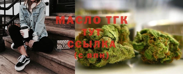 прущие грибы Козельск