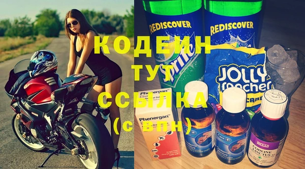 прущие грибы Козельск