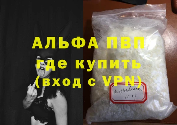 прущие грибы Козельск