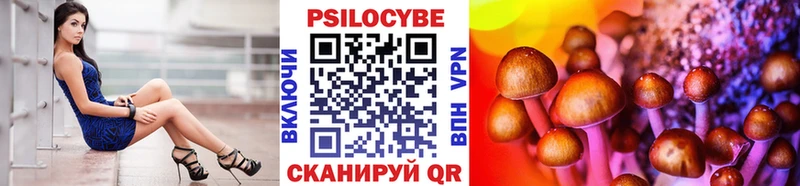 Купить где  Белинский  Псилоцибиновые грибы Psilocybe 